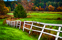 A long fence with colorful trees in background.